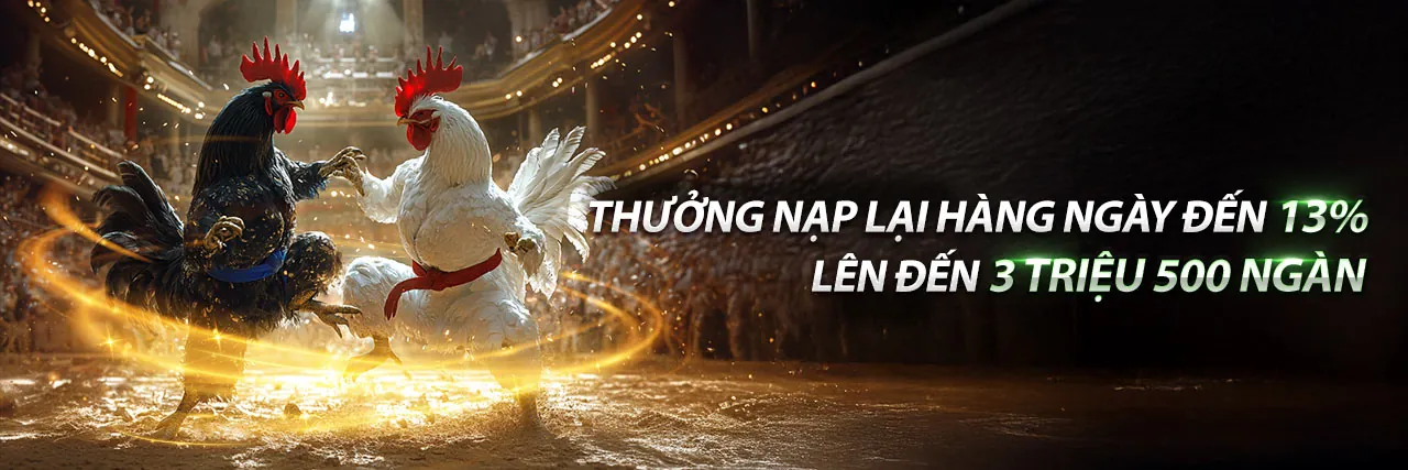 Trải nghiệm casino trực tuyến fb8bet