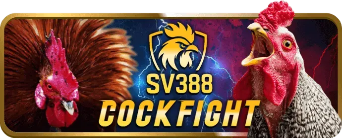Hợp tác truyền thông fb8bet